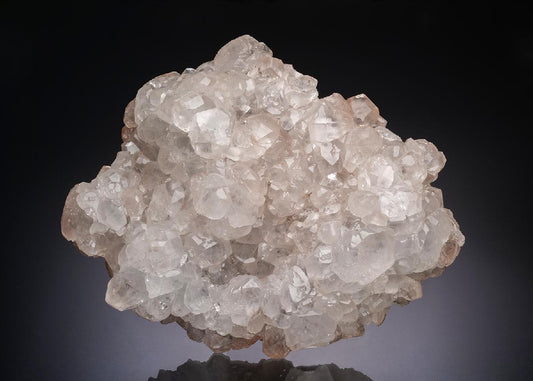 CC20146 specimen image