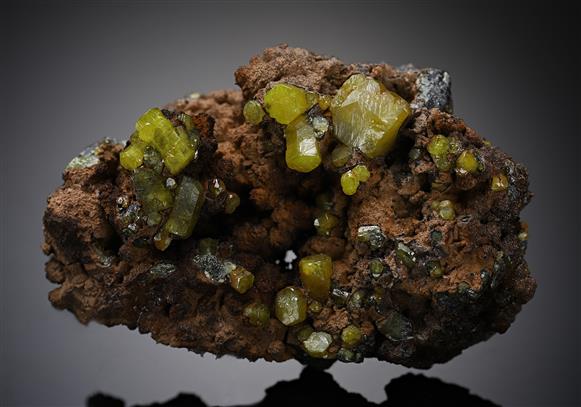 CC20166 specimen image