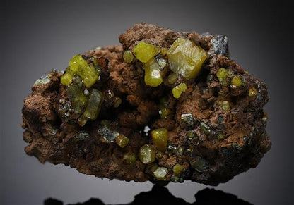 CC20166 specimen image
