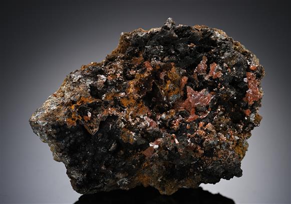 CC20169 specimen image