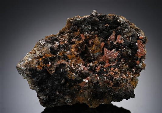 CC20169 specimen image