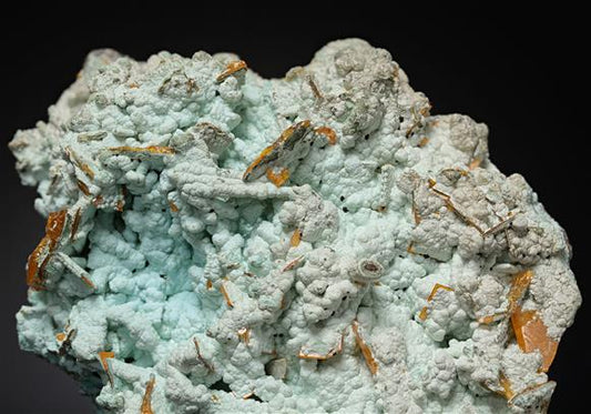 CC20184 specimen image