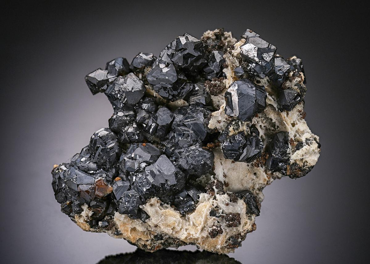 CC20205 specimen image
