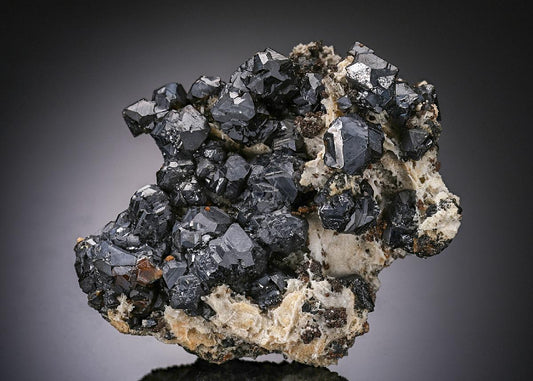CC20205 specimen image