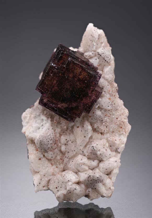 CC20213 specimen image