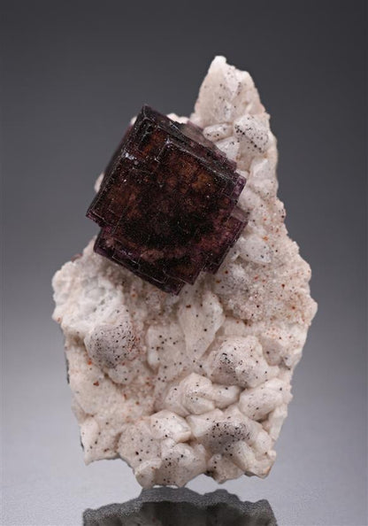 CC20213 specimen image