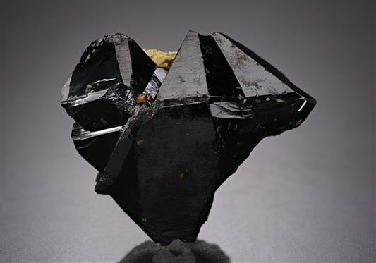 CC20216 specimen image