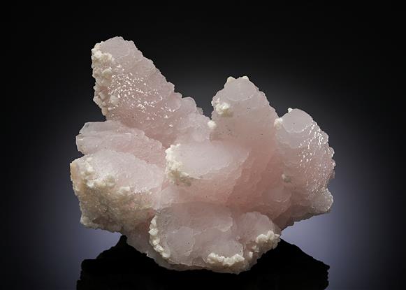 CC20226 specimen image