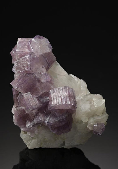 CC20236 specimen image