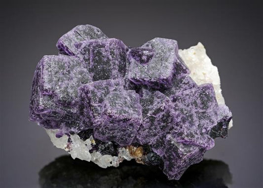 CC20238 specimen image