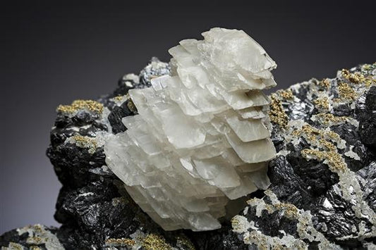 CC20245 specimen image