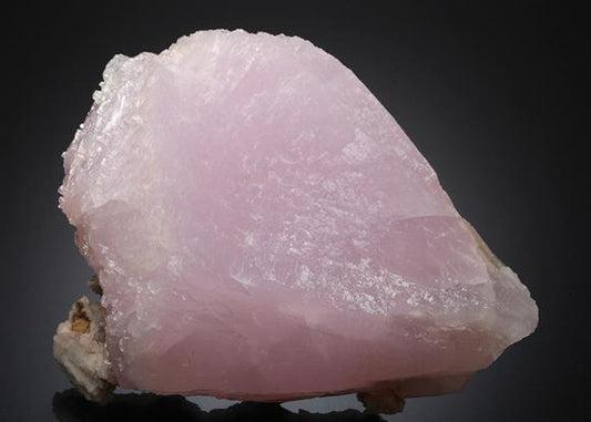 CC20247 specimen image