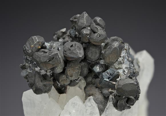 CC20252 specimen image