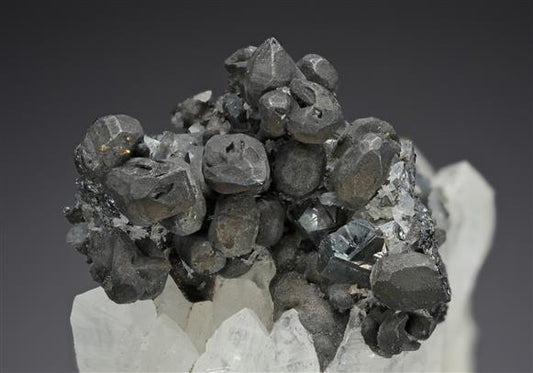 CC20252 specimen image