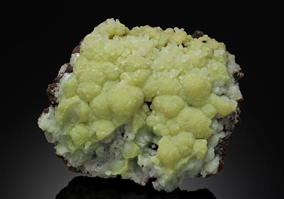 CC20256 specimen image