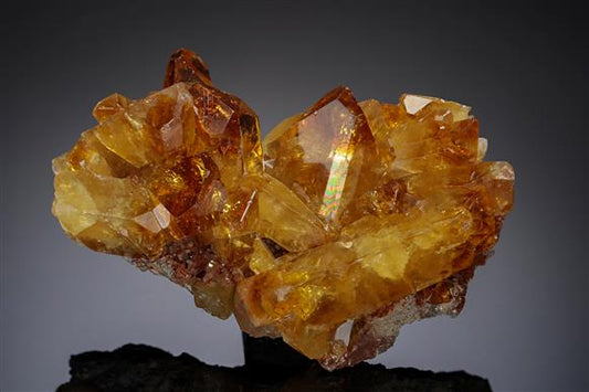 CC20259 specimen image