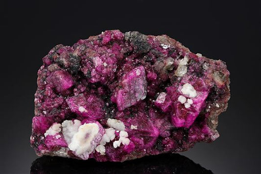 CC20262 specimen image