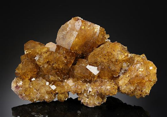 CC20276 specimen image