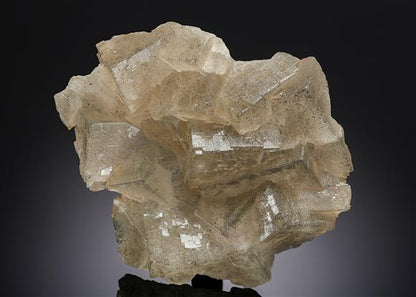 CC20286 specimen image