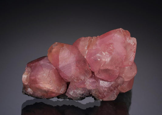 CC20292 specimen image