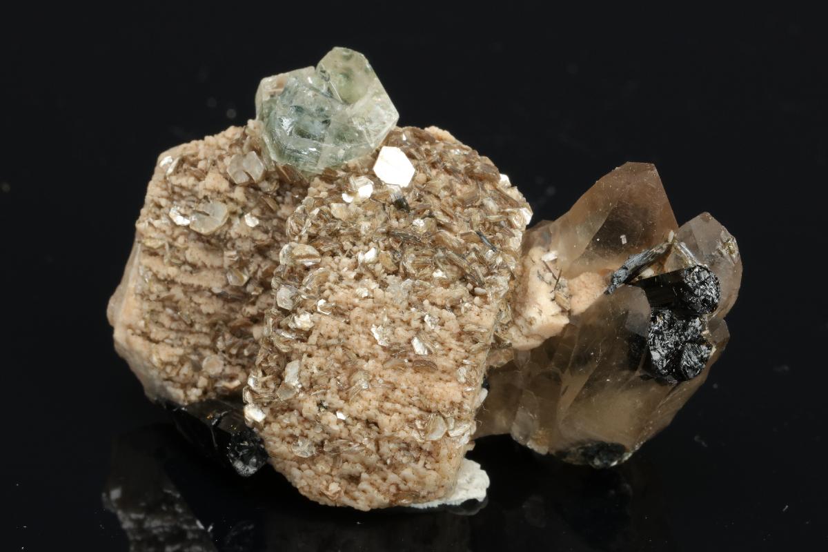 CC20295 specimen image