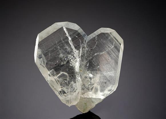 CC20297 specimen image