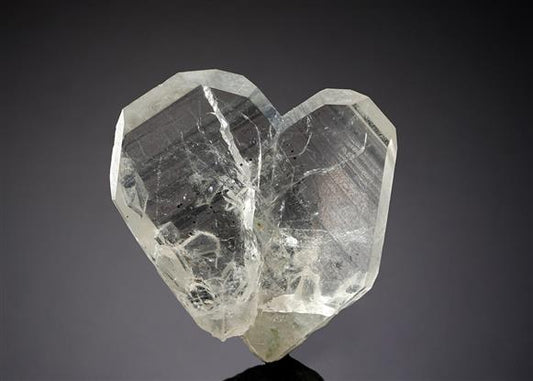 CC20297 specimen image