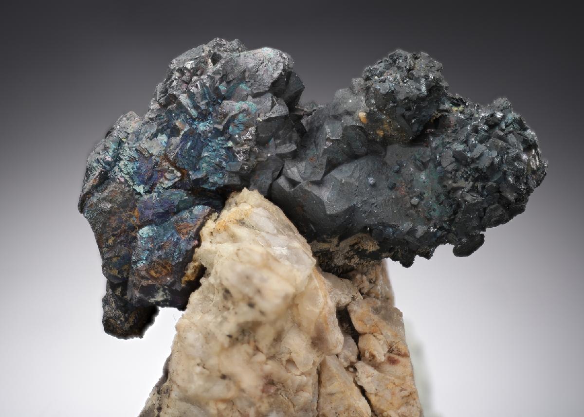 CC20301 specimen image