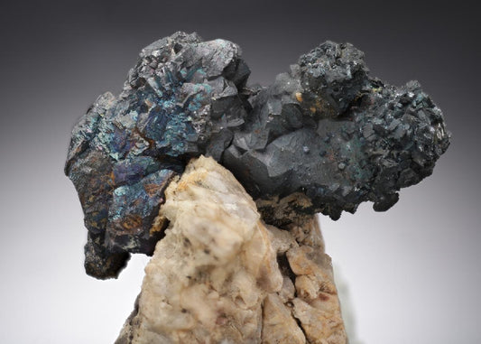 CC20301 specimen image