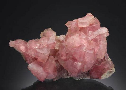 CC20310 specimen image