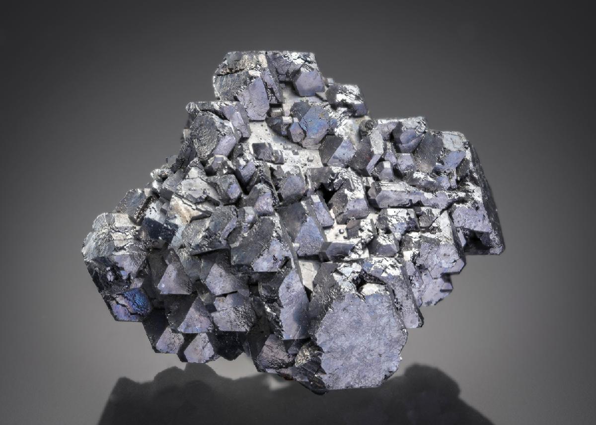 CC20322 specimen image