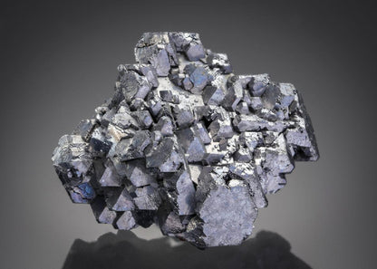CC20322 specimen image
