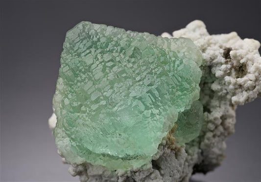 CC20330 specimen image