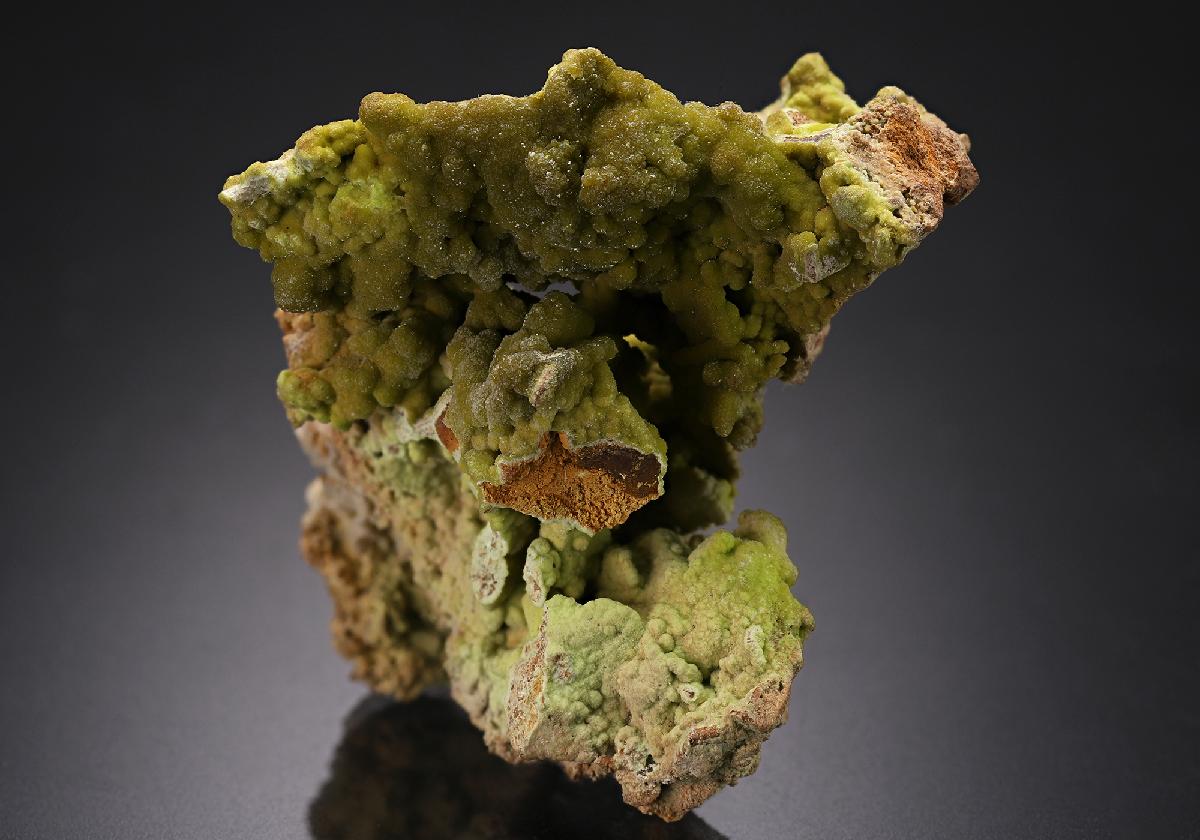 CC20331 specimen image