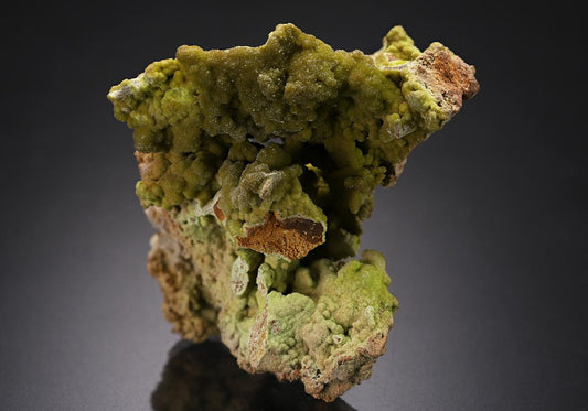 CC20331 specimen image