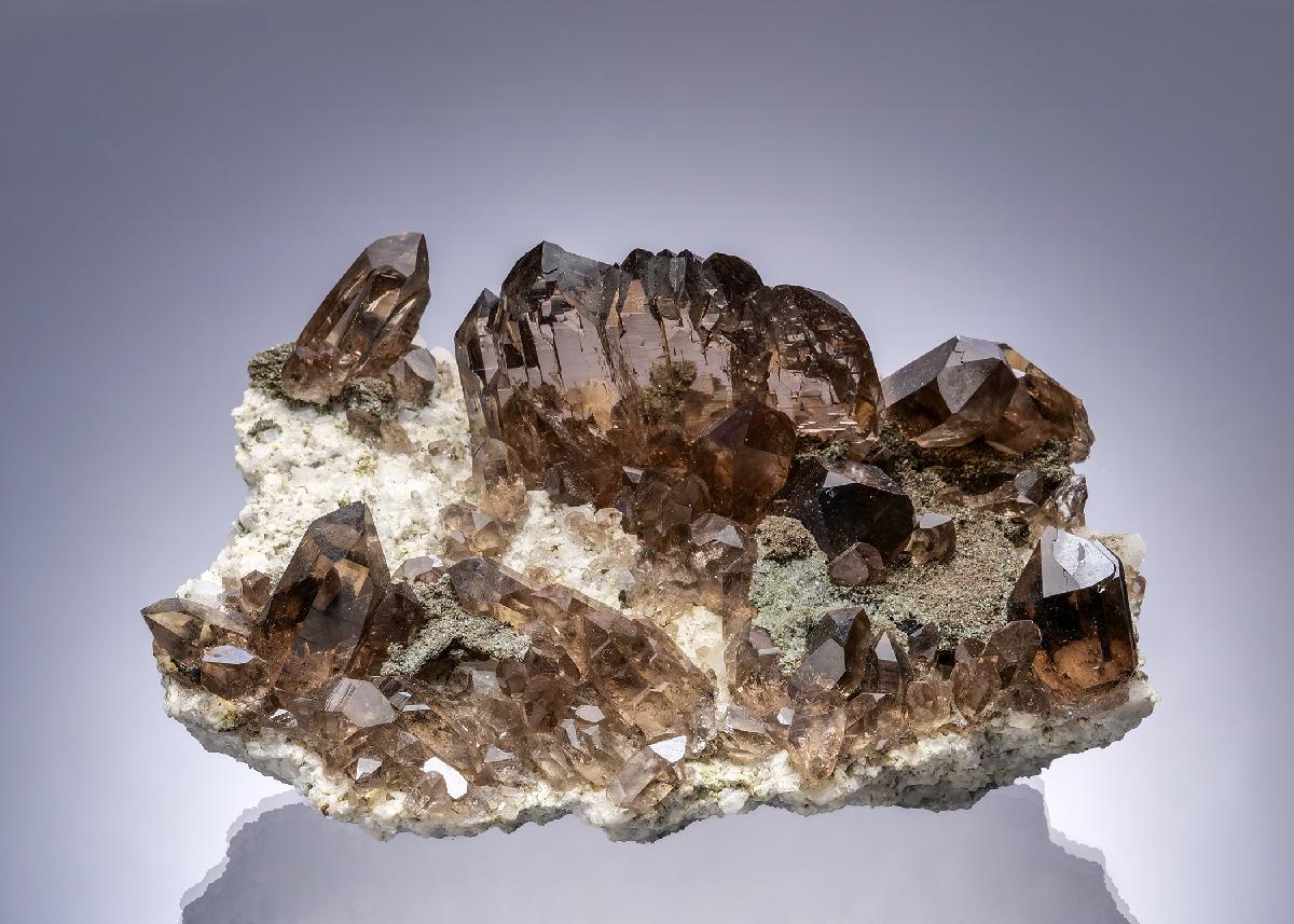 CC20339 specimen image