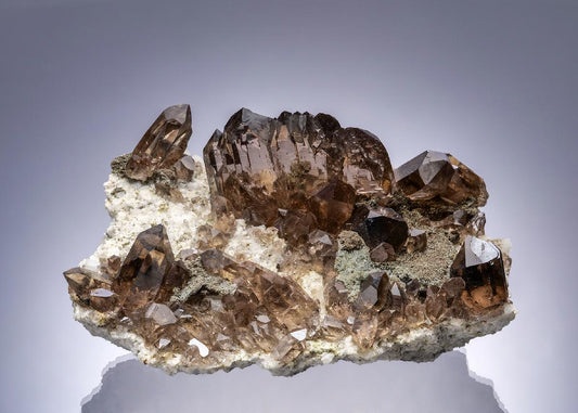CC20339 specimen image