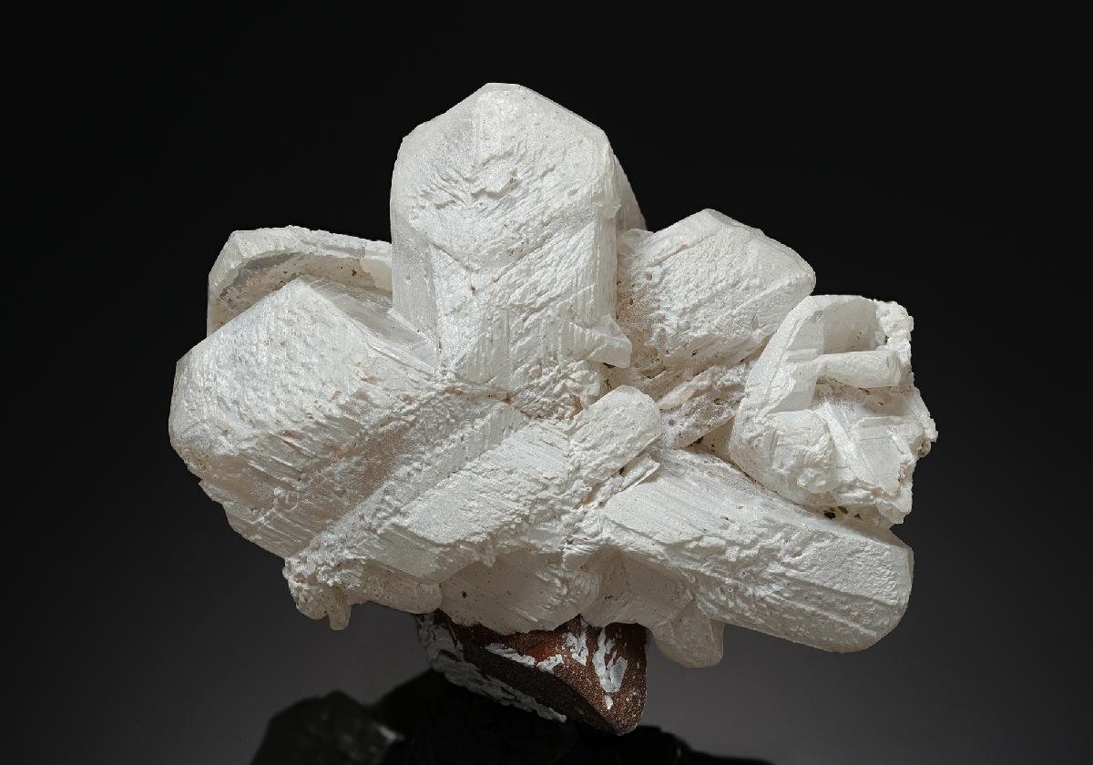 CC20346 specimen image