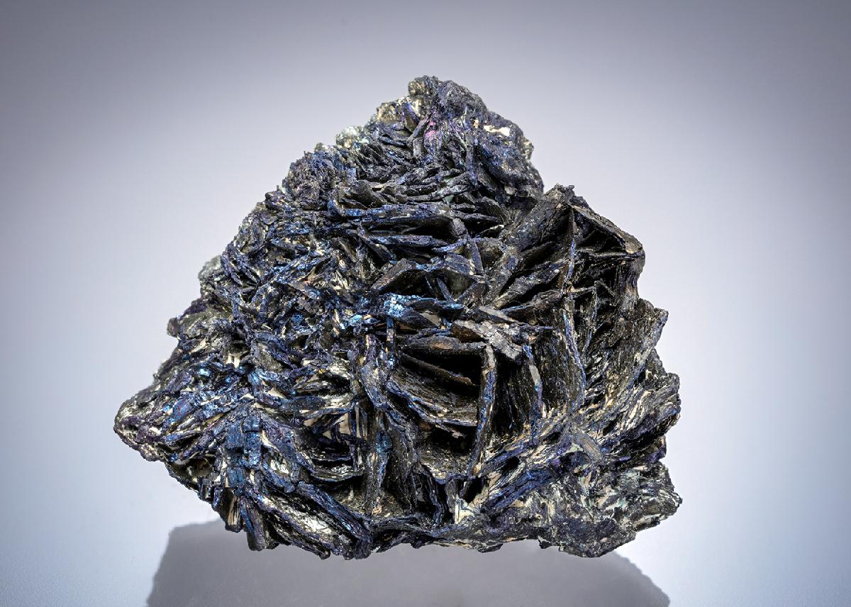 CC20352 specimen image