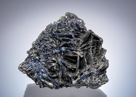 CC20352 specimen image