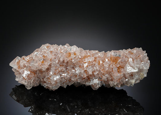 CC20354 specimen image