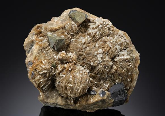 CC20411 specimen image