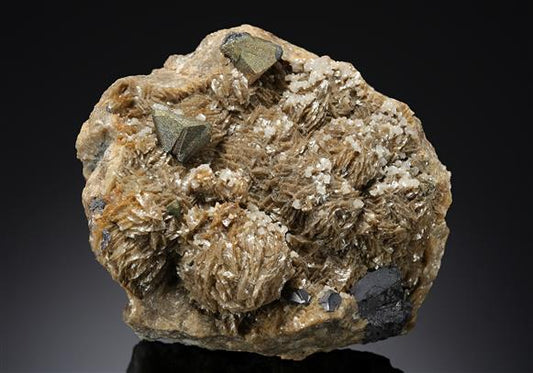 CC20411 specimen image