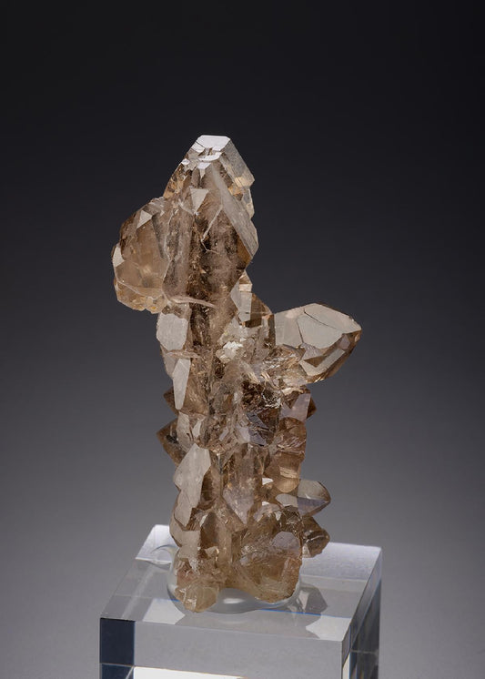 CC20414 specimen image
