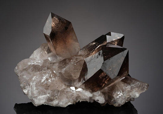CC20416 specimen image