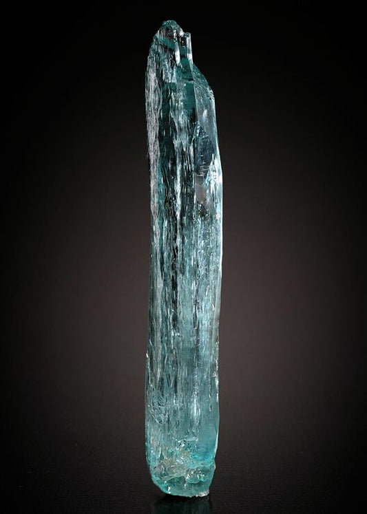 CC20420 specimen image
