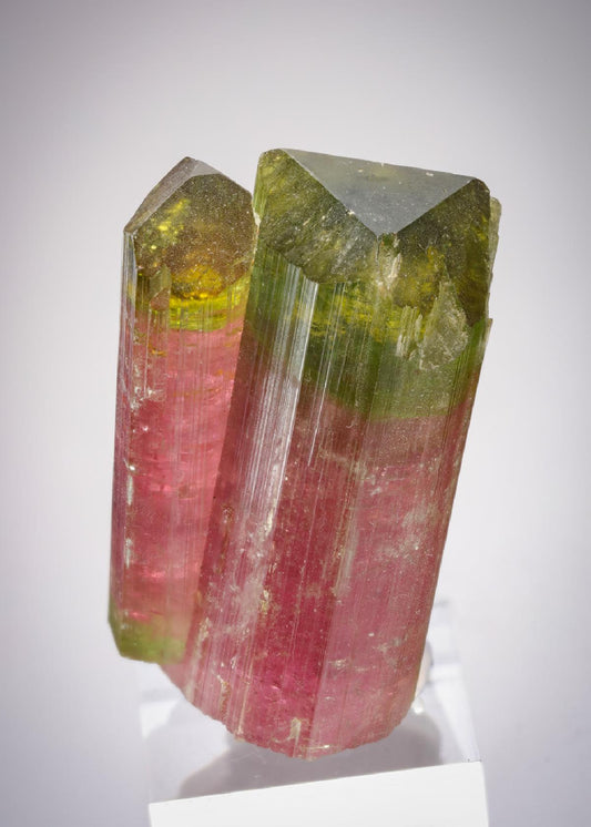 CC20425 specimen image