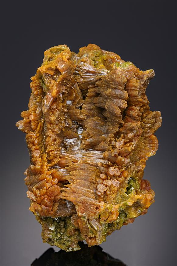 CC20449 specimen image