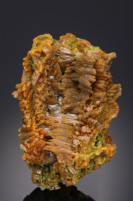 CC20449 specimen image
