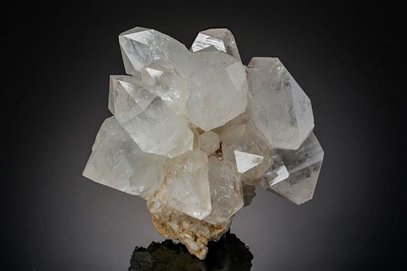 CC20451 specimen image